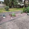 Sunday Garden