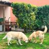 Pensione Mia