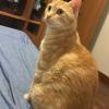 Milo