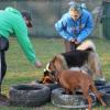 Woof Zone Di Alice Andrea Cornalba