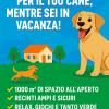 Villa Dogs Pensione Per Cani Carini