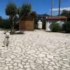 Villa Dogs Pensione Per Cani Carini