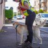 Azzurra Romano  Educatrice Cinofila A Casa Tua