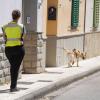 Azzurra Romano  Educatrice Cinofila A Casa Tua