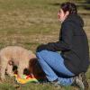 Azzurra Romano  Educatrice Cinofila A Casa Tua