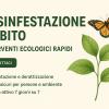 Nuova Andri Snc