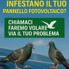 PROBLEMI CON VOLATILI