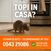 TOPI IN CASA