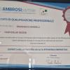 Particolar Design Di Martino Vita S.a.s