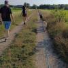 Interazioni intraspecifiche in ambiente naturale (Liam e Zoe la Dobermann)