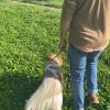 LINO in educazione (problematica: tirava al guinzaglio e abbaiava a tutti i cani, ora è tranquillo e sta vicino al padrone)
