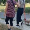 MARGOT aveva problemi di reattività verso i cani. Sta imparando a ignorarli
