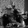 flamenco bailaora