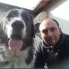Dogsolution