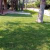 Olbia Garden