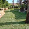 Olbia Garden