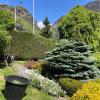 Valmalenco Giardini