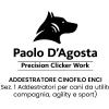 Paolo