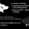 Paolo
