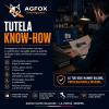 SERVIZIO: Indagini per Tutela Know-how