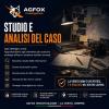 SERVIZIO: Studio e Analisi del Caso