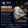 SERVIZIO: Consulenza Grafologica