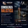 SERVIZIO: Consulenza Balistica