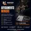 SERVIZIO: Indagini per Affidamento Minori
