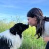 Il Cane Reale Di Giulia Tellaroli