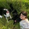 Il Cane Reale Di Giulia Tellaroli