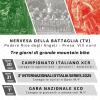 Gls Di Gian Luca Serradura
