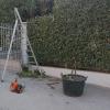 Blu Giardini