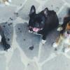 Zeta, Charlotte e Pila