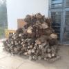 Taglio e potatura ulivi e accatastamento legna