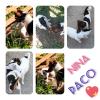 Nina/Paco 