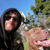 The Dog System