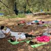 Psicologopsicoterapeuta Al Terzo Anno