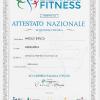 ATTESTATO NAZIONALE AIF