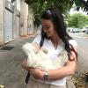 Livia