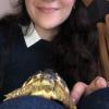 Livia
