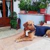 Dogs House Pensione Per Cani