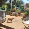 Dogs House Pensione Per Cani