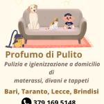 Grc Pulizia Divani E Materassi A Domicilio Grc Pulizia Divani E Materassi A Domicilio