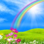 Multiservizi Arcobaleno Multiservizi Arcobaleno