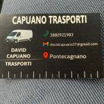 David Capuano