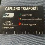David Capuano David Capuano