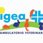 Ambulatorio Veterinario Igea