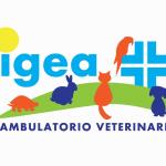Ambulatorio Veterinario Igea Ambulatorio Veterinario Igea
