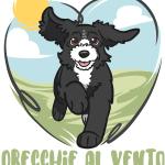Orecchie Al Vento Di Erika Colombo Orecchie Al Vento Di Erika Colombo