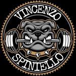 Vincenzospiniellofit Vincenzospiniellofit